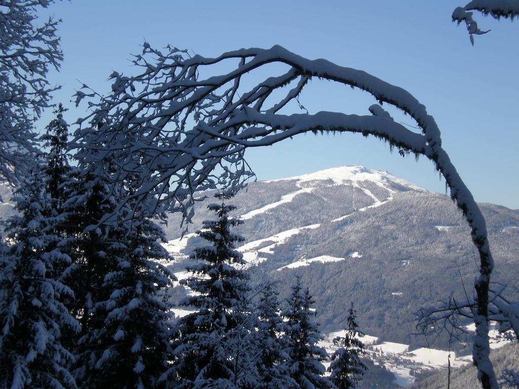 Bed and Breakfast Oberlechnerhof Rasun di Sopra Exteriér fotografie